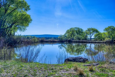 Tiny photo for XXX Larson Road, Lakeside, AZ 85929 (MLS # 256092)