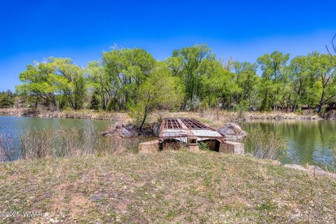 Tiny photo for XXX Larson Road, Lakeside, AZ 85929 (MLS # 256092)