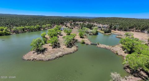 Tiny photo for XXX Larson Road, Lakeside, AZ 85929 (MLS # 256092)