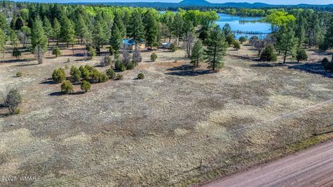 Tiny photo for XXX Larson Road, Lakeside, AZ 85929 (MLS # 256092)