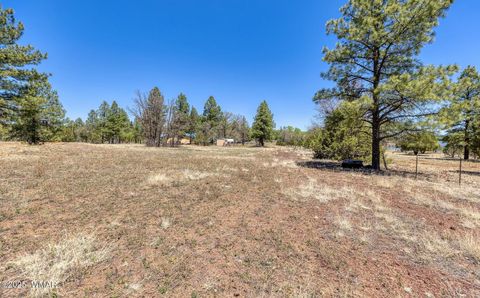 Tiny photo for XXX Larson Road, Lakeside, AZ 85929 (MLS # 256092)