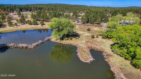Tiny photo for XXX Larson Road, Lakeside, AZ 85929 (MLS # 256092)