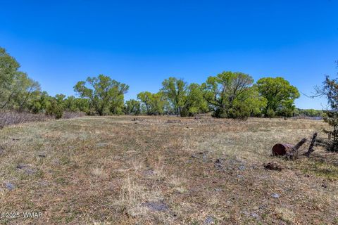 Tiny photo for XXX Larson Road, Lakeside, AZ 85929 (MLS # 256092)