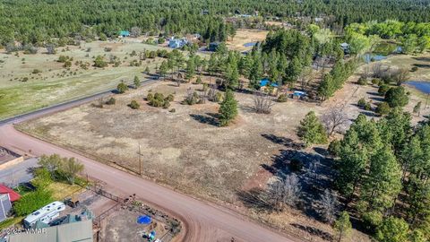Tiny photo for XXX Larson Road, Lakeside, AZ 85929 (MLS # 256092)