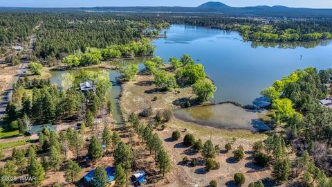 Tiny photo for XXX Larson Road, Lakeside, AZ 85929 (MLS # 256092)