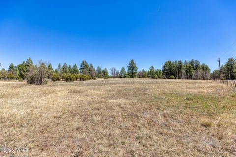 Tiny photo for XXX Larson Road, Lakeside, AZ 85929 (MLS # 256092)