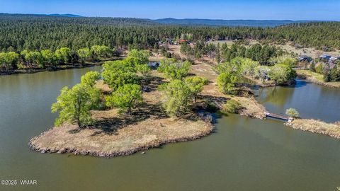 Tiny photo for XXX Larson Road, Lakeside, AZ 85929 (MLS # 256092)
