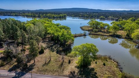 Tiny photo for XXX Larson Road, Lakeside, AZ 85929 (MLS # 256092)