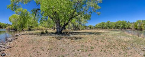 Tiny photo for XXX Larson Road, Lakeside, AZ 85929 (MLS # 256092)