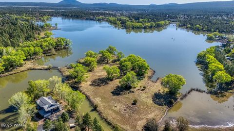 Tiny photo for XXX Larson Road, Lakeside, AZ 85929 (MLS # 256092)