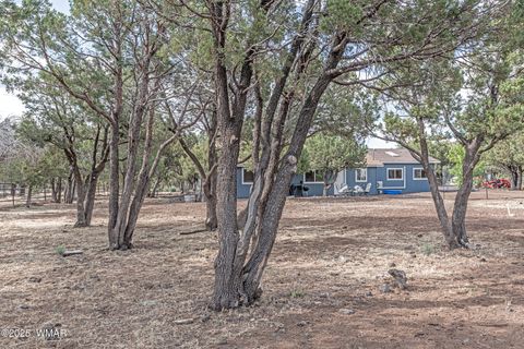 Tiny photo for 703 Backwoods Trail, Lakeside, AZ 85929 (MLS # 259802)