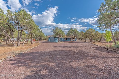 Photo of 703 Backwoods Trail, Lakeside, AZ 85929 (MLS # 259802)