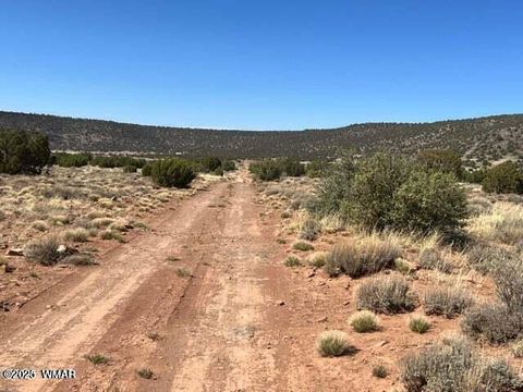 Tiny photo for 3871 Del Contento Road, Snowflake, AZ 85937 (MLS # 257703)