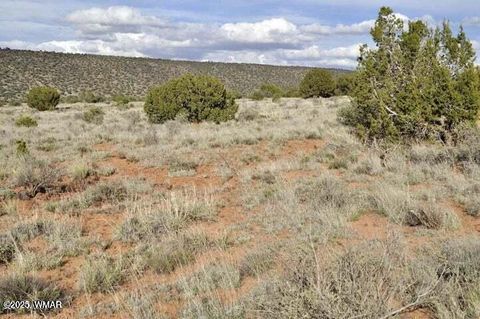 Tiny photo for 3871 Del Contento Road, Snowflake, AZ 85937 (MLS # 257703)