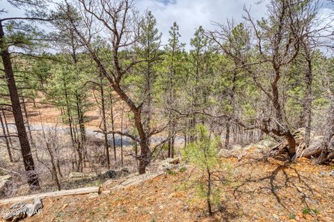 Tiny photo for 4620 W Johnson Drive, Show Low, AZ 85901 (MLS # 259825)