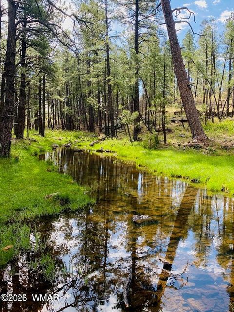 Tiny photo for 4551 Resort Loop Loop, Pinetop, AZ 85935 (MLS # 260194)