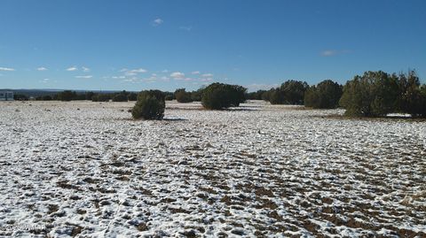 Tiny photo for 8577 Pine Lane, Snowflake, AZ 85937 (MLS # 259268)