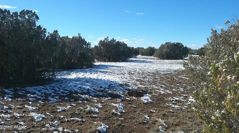 Tiny photo for 8577 Pine Lane, Snowflake, AZ 85937 (MLS # 259268)