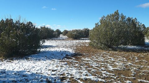 Photo of 8577 Pine Lane, Snowflake, AZ 85937 (MLS # 259268)