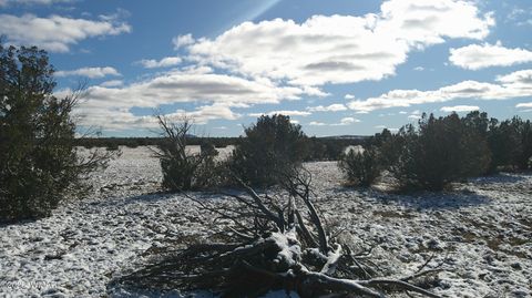 Tiny photo for 8577 Pine Lane, Snowflake, AZ 85937 (MLS # 259268)