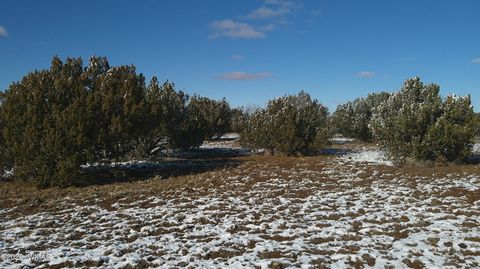 Tiny photo for 8577 Pine Lane, Snowflake, AZ 85937 (MLS # 259268)