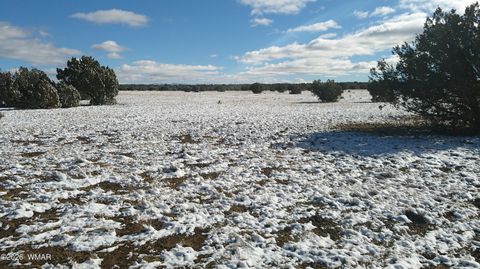 Tiny photo for 8577 Pine Lane, Snowflake, AZ 85937 (MLS # 259268)