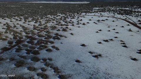 Tiny photo for 8577 Pine Lane, Snowflake, AZ 85937 (MLS # 259268)