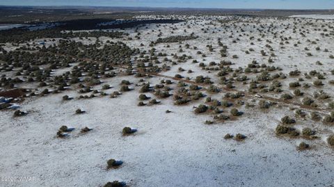 Tiny photo for 8577 Pine Lane, Snowflake, AZ 85937 (MLS # 259268)