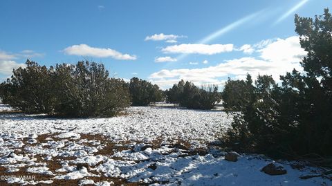 Tiny photo for 8577 Pine Lane, Snowflake, AZ 85937 (MLS # 259268)