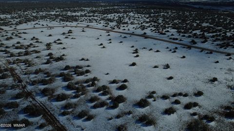 Tiny photo for 8577 Pine Lane, Snowflake, AZ 85937 (MLS # 259268)