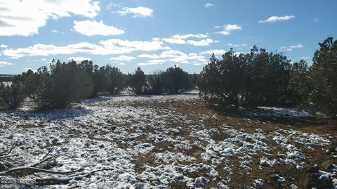 Tiny photo for 8577 Pine Lane, Snowflake, AZ 85937 (MLS # 259268)