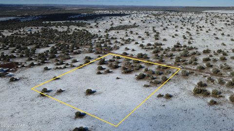 Tiny photo for 8577 Pine Lane, Snowflake, AZ 85937 (MLS # 259268)
