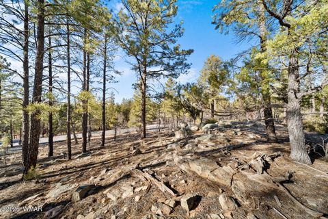 Tiny photo for 1481 S Snowberry Loop, Show Low, AZ 85901 (MLS # 259395)