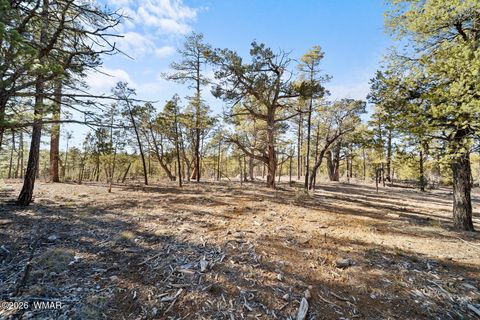 Tiny photo for 1481 S Snowberry Loop, Show Low, AZ 85901 (MLS # 259395)