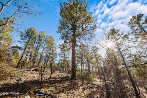 Tiny photo for 1481 S Snowberry Loop, Show Low, AZ 85901 (MLS # 259395)