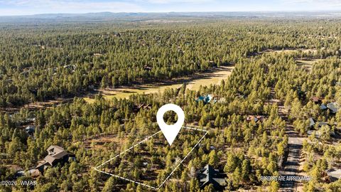 Photo of 1481 S Snowberry Loop, Show Low, AZ 85901 (MLS # 259395)