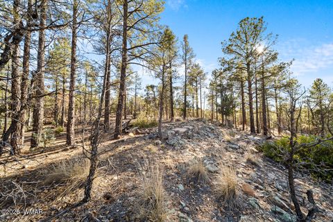 Tiny photo for 1481 S Snowberry Loop, Show Low, AZ 85901 (MLS # 259395)