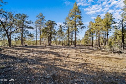 Tiny photo for 1481 S Snowberry Loop, Show Low, AZ 85901 (MLS # 259395)