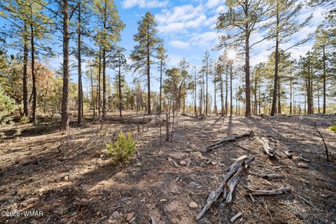 Tiny photo for 1481 S Snowberry Loop, Show Low, AZ 85901 (MLS # 259395)