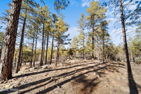 Tiny photo for 1481 S Snowberry Loop, Show Low, AZ 85901 (MLS # 259395)
