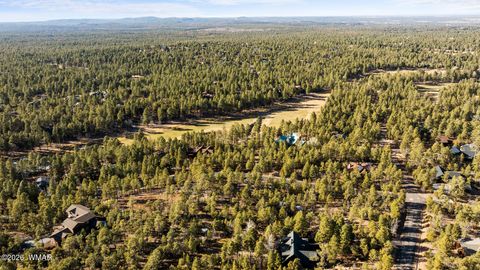 Tiny photo for 1481 S Snowberry Loop, Show Low, AZ 85901 (MLS # 259395)