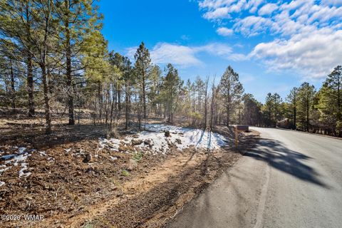 Tiny photo for 1481 S Snowberry Loop, Show Low, AZ 85901 (MLS # 259395)