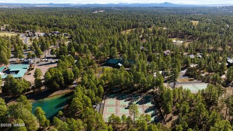 Tiny photo for 1481 S Snowberry Loop, Show Low, AZ 85901 (MLS # 259395)