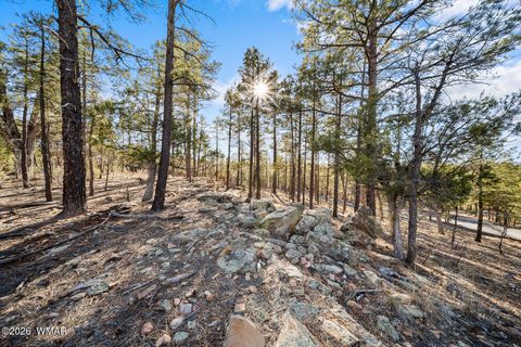 Tiny photo for 1481 S Snowberry Loop, Show Low, AZ 85901 (MLS # 259395)