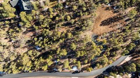Tiny photo for 1481 S Snowberry Loop, Show Low, AZ 85901 (MLS # 259395)