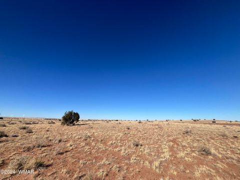 Tiny photo for 7558 Birch Lane, Snowflake, AZ 85937 (MLS # 253827)