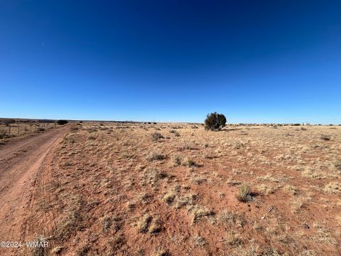 Tiny photo for 7558 Birch Lane, Snowflake, AZ 85937 (MLS # 253827)