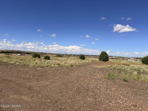 Tiny photo for 261 S Sunset Boulevard, Taylor, AZ 85939 (MLS # 263216)