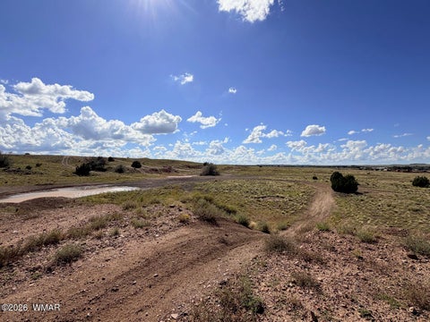 Tiny photo for 261 S Sunset Boulevard, Taylor, AZ 85939 (MLS # 263216)