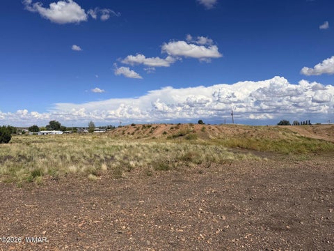 Photo of 261 S Sunset Boulevard, Taylor, AZ 85939 (MLS # 263216)
